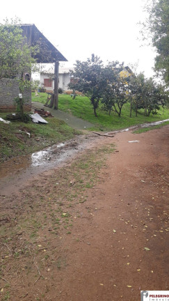 Imagem Imóvel com 2 Quartos à Venda, 95 m² em Zona Rural - Sentinela Do Sul Imagem Imóvel com 2 Quartos à Venda, 95 m² em Zona Rural - Sentinela Do Sul