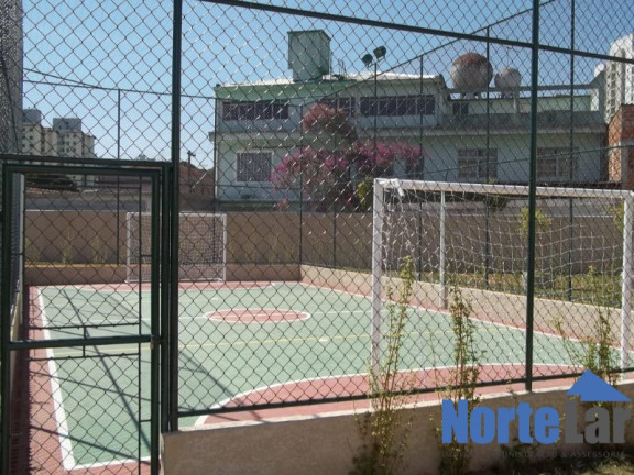 Imagem Apartamento com 2 Quartos à Venda, 50 m² em Vila Palmeiras - São Paulo