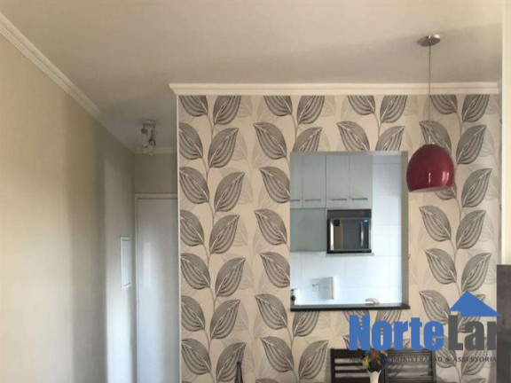Imagem Apartamento com 2 Quartos à Venda, 50 m² em Vila Amélia - São Paulo