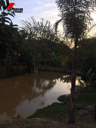 Imagem Chácara com 3 Quartos à Venda, 2 m² em Paiol - Guaratinguetá Imagem Chácara com 3 Quartos à Venda, 2 m² em Paiol - Guaratinguetá