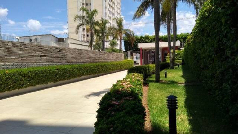 Imagem Apartamento com 3 Quartos à Venda, 77 m² em Centro-sul - Cuiabá Imagem Apartamento com 3 Quartos à Venda, 77 m² em Centro-sul - Cuiabá