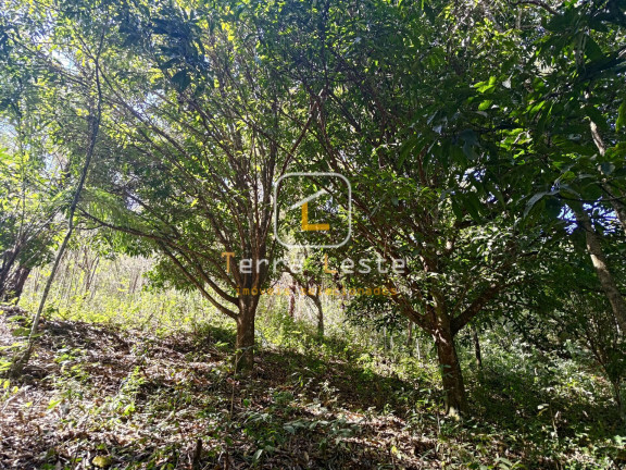 Imagem Terreno à Venda, 20.000 m² em Piedade Do Paraopeba - Brumadinho Imagem Terreno à Venda, 20.000 m² em Piedade Do Paraopeba - Brumadinho