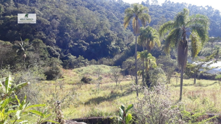 Imagem Terreno à Venda, 1.400 m² em Caete (mailasqui) - São Roque Imagem Terreno à Venda, 1.400 m² em Caete (mailasqui) - São Roque