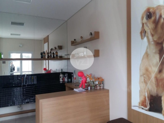 Imagem Apartamento com 3 Quartos à Venda, 138 m² em Granja Julieta - São Paulo Imagem Apartamento com 3 Quartos à Venda, 138 m² em Granja Julieta - São Paulo