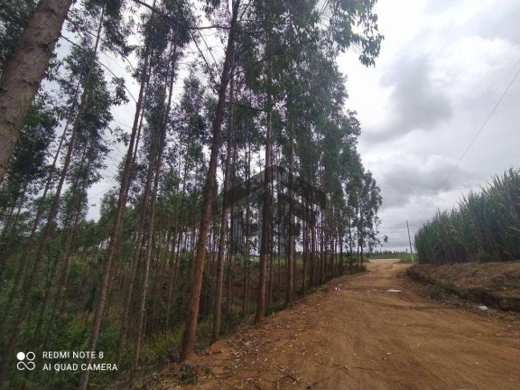 Imagem Chácara com 6 Quartos à Venda, 1.000 m² em Rural - Paudalho