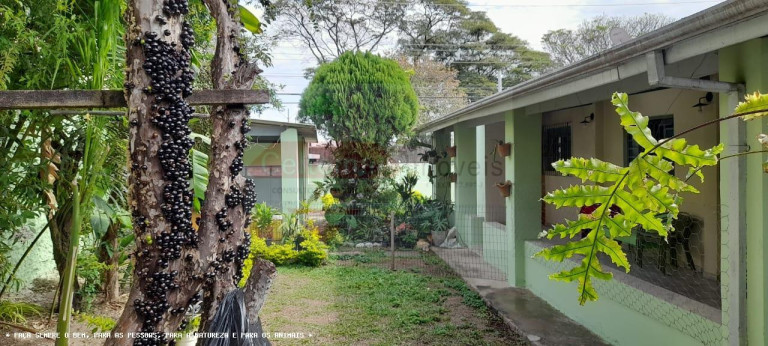 Imagem Casa com 4 Quartos à Venda, 200 m² em Vila Das Jabuticabeiras - Taubaté