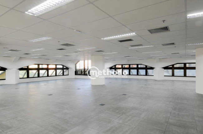Imagem Sala Comercial para Alugar, 481 m² em Nova Campinas - Campinas Imagem Sala Comercial para Alugar, 481 m² em Nova Campinas - Campinas
