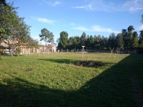 Terreno à Venda, 1.159 m² em Campeche - Florianópolis