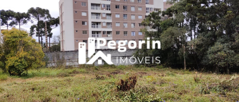 Imagem Terreno à Venda, 6.325 m² em Jardim Cláudia - Pinhais Imagem Terreno à Venda, 6.325 m² em Jardim Cláudia - Pinhais