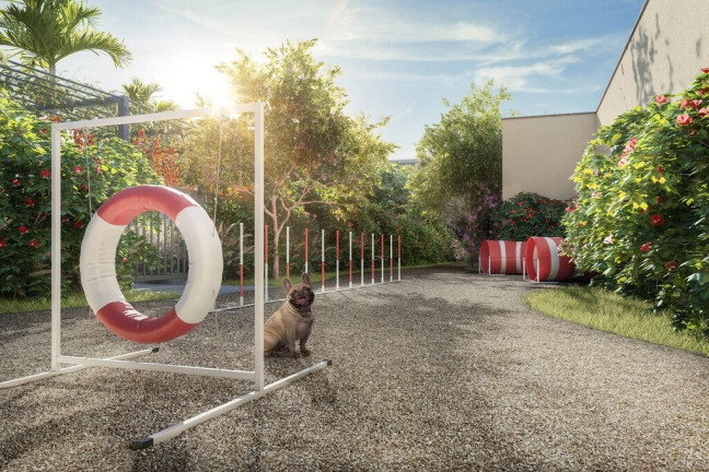 Imagem Imóvel com 3 Quartos à Venda, 221 m² em Cambuí - Campinas Imagem Imóvel com 3 Quartos à Venda, 221 m² em Cambuí - Campinas