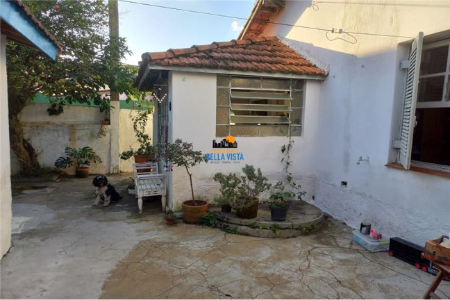 Imagem Casa com 8 Quartos à Venda, em Vila Sônia - São Paulo Imagem Casa com 8 Quartos à Venda, em Vila Sônia - São Paulo