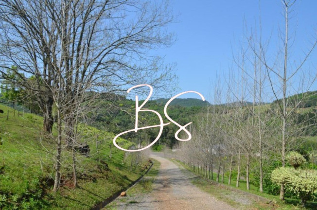 Imagem Imóvel à Venda, 100.000 m² em Linha Bonita - Gramado