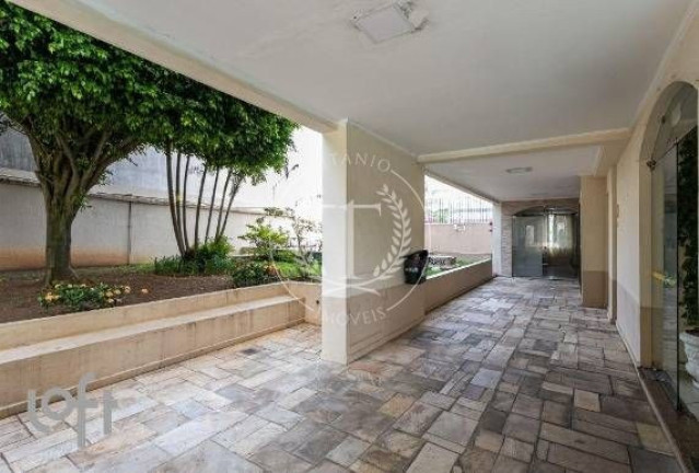 Imagem Apartamento com 3 Quartos à Venda, 66 m² em Vila Monte Alegre - São Paulo