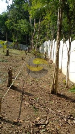 Imagem Terreno à Venda, 1.000 m² em Jardim Colibri - Cotia Imagem Terreno à Venda, 1.000 m² em Jardim Colibri - Cotia
