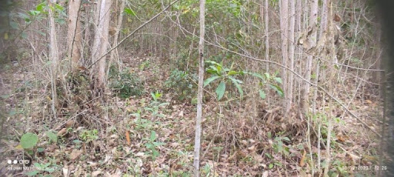 Imagem Chácara com 2 Quartos à Venda, 150 m² em Centro - Paraibuna Imagem Chácara com 2 Quartos à Venda, 150 m² em Centro - Paraibuna