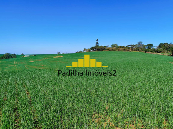 Imagem Fazenda à Venda, 136 m² em Capão Bonito