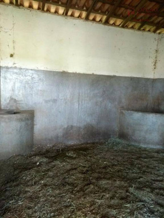 Imagem Fazenda à Venda, 900 m² em Condomínio Haras Santa Filomena - Salto Imagem Fazenda à Venda, 900 m² em Condomínio Haras Santa Filomena - Salto