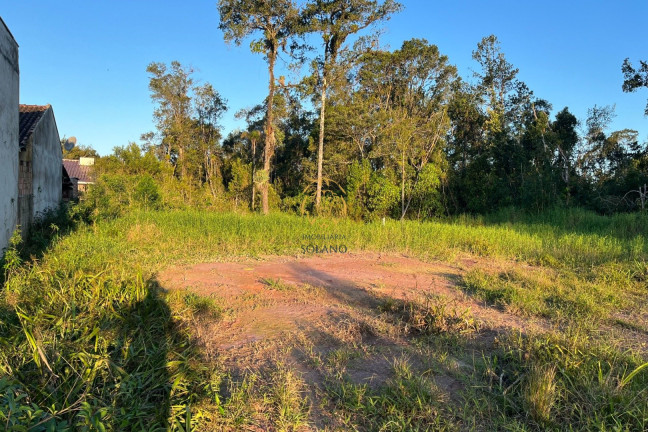 Imagem Terreno à Venda, 130 m² em Rio Gracioso - Itapoá Imagem Terreno à Venda, 130 m² em Rio Gracioso - Itapoá