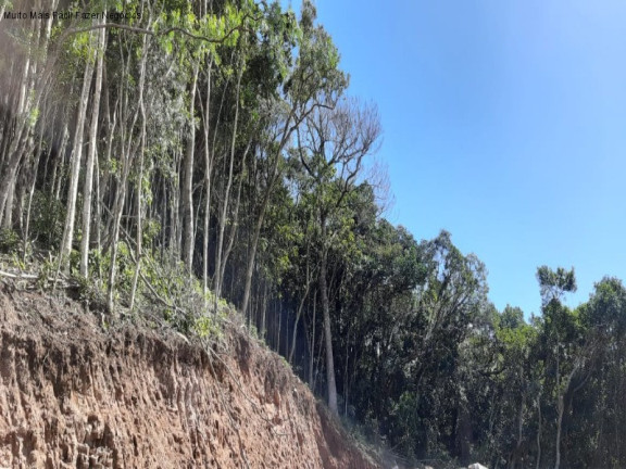 Imagem Terreno à Venda, 362 m² em Germânia - Nova Petrópolis Imagem Terreno à Venda, 362 m² em Germânia - Nova Petrópolis