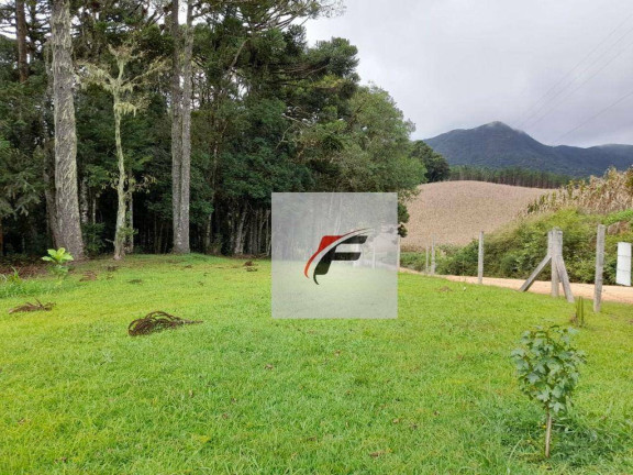 Imagem Chácara com 3 Quartos à Venda, 20.000 m² em Colônia Malhada - São José Dos Pinhais Imagem Chácara com 3 Quartos à Venda, 20.000 m² em Colônia Malhada - São José Dos Pinhais