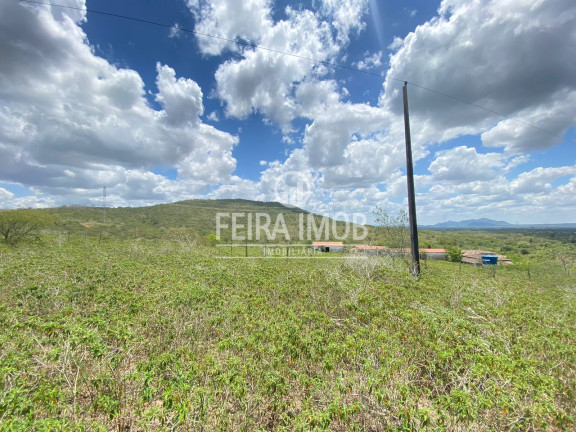 Imagem Fazenda à Venda, 492.228 m² em Ipuaçu / Santa Rosa - Feira De Santana Imagem Fazenda à Venda, 492.228 m² em Ipuaçu / Santa Rosa - Feira De Santana
