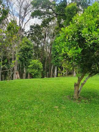 Imagem Imóvel com 4 Quartos à Venda, 38.704 m² em Chimboveiro - Mandirituba