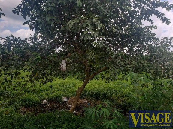 Imagem Terreno à Venda, 250 m² em Jardim Dulce - Guararema Imagem Terreno à Venda, 250 m² em Jardim Dulce - Guararema