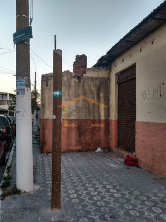 Imagem Casa com 3 Quartos à Venda, 289 m² em Vila Constança - São Paulo Imagem Casa com 3 Quartos à Venda, 289 m² em Vila Constança - São Paulo