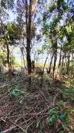 Imagem Terreno à Venda, em Tamborete - Imaruí Imagem Terreno à Venda, em Tamborete - Imaruí
