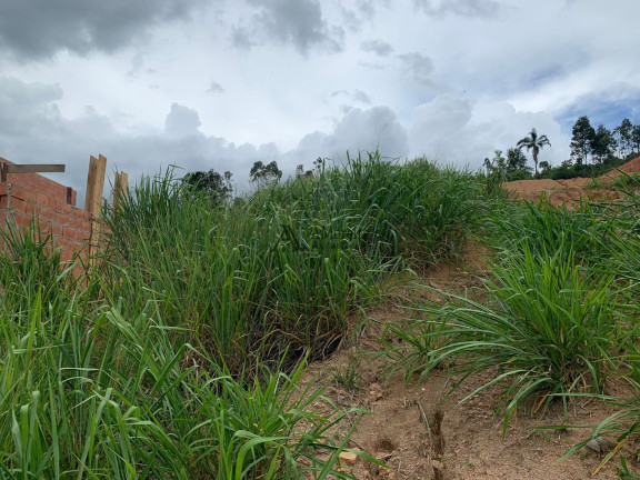 Imagem Terreno à Venda, 250 m² em Jardim Das Angélicas - Itupeva