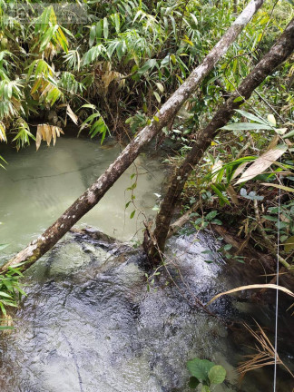 Imagem Chácara com 2 Quartos à Venda, 2.500 m² em Nova Lacerda