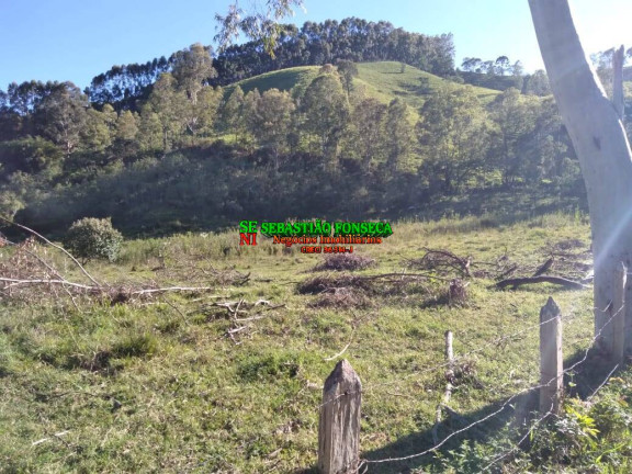 Imagem Chácara com 2 Quartos à Venda, 25.000 m² em Sob Consulta - Virgínia Imagem Chácara com 2 Quartos à Venda, 25.000 m² em Sob Consulta - Virgínia