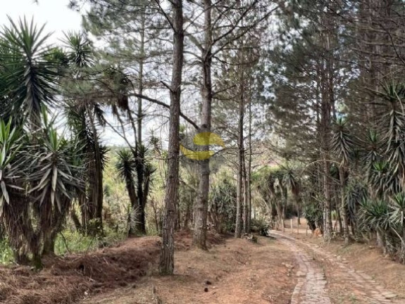 Imagem Terreno à Venda, 18.455 m² em Taboleiro Verde - Cotia Imagem Terreno à Venda, 18.455 m² em Taboleiro Verde - Cotia