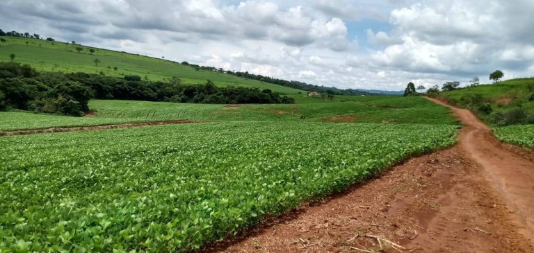 Imagem Chácara à Venda, em Centro - Itamogi Imagem Chácara à Venda, em Centro - Itamogi