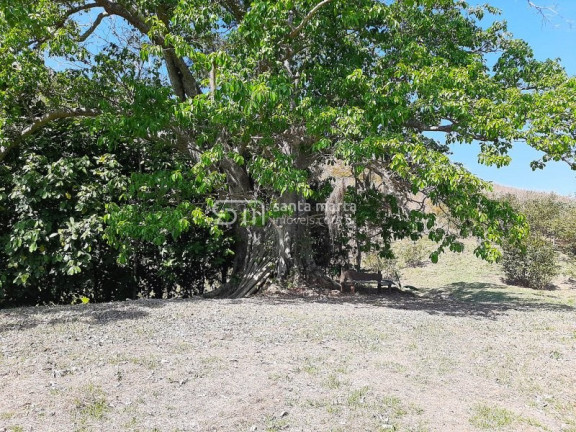Imagem Imóvel com 2 Quartos à Venda, 1 m² em Bairro São José Do Retiro - Bananal