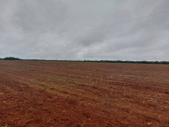 Imagem Imóvel à Venda, 13.636 m² em Area Rural De Nova Nazare - Nova Nazare Imagem Imóvel à Venda, 13.636 m² em Area Rural De Nova Nazare - Nova Nazare