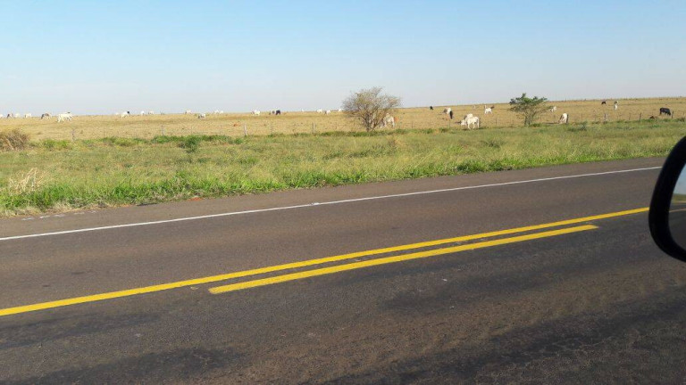 Imagem Chácara à Venda, 450 m² em Centro - Presidente Prudente Imagem Chácara à Venda, 450 m² em Centro - Presidente Prudente