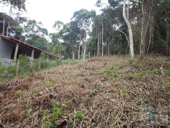 Imagem Chácara à Venda, 4.200 m²