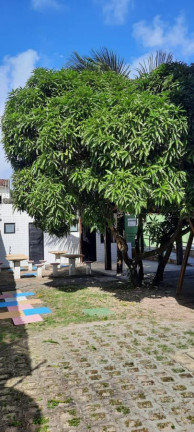 Imagem Apartamento com 2 Quartos à Venda, 50 m² em Pau Amarelo - Paulista