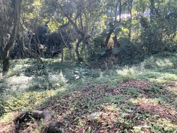 Imagem Terreno à Venda, 450 m² em Recantinho - Carapicuíba Imagem Terreno à Venda, 450 m² em Recantinho - Carapicuíba