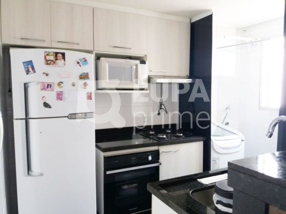 Imagem Apartamento com 2 Quartos à Venda, 48 m² em Jardim Ansalca - Guarulhos Imagem Apartamento com 2 Quartos à Venda, 48 m² em Jardim Ansalca - Guarulhos