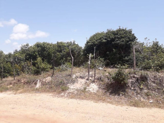 Imagem Terreno à Venda, 7.400 m² em Tibau Do Sul
