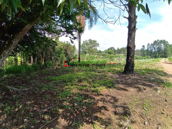 Imagem Imóvel com 2 Quartos à Venda, 133.100 m² em Ibiúna - Ibiúna