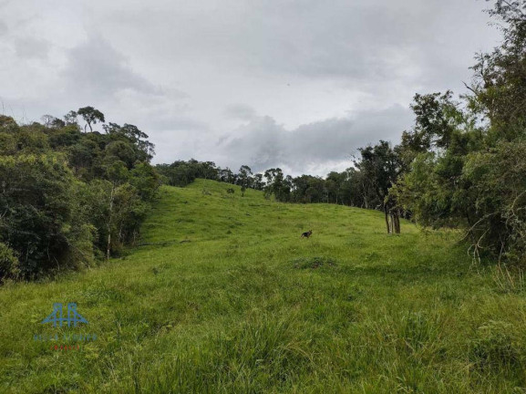 Imagem Terreno à Venda, 180.000 m² em Rio Bonito - Rancho Queimado Imagem Terreno à Venda, 180.000 m² em Rio Bonito - Rancho Queimado