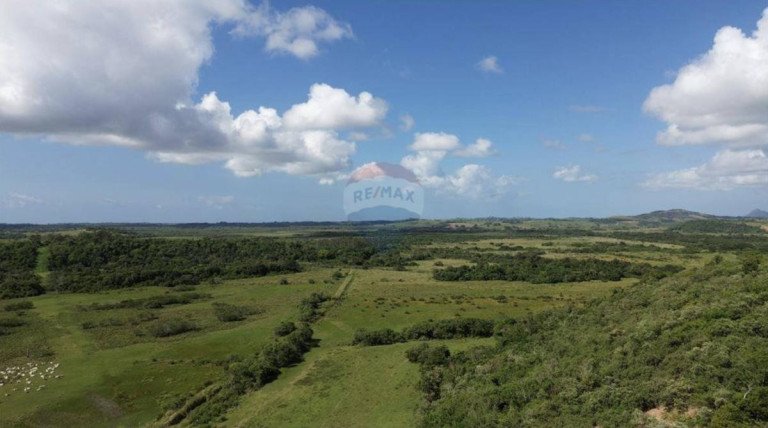 Imagem Fazenda à Venda, 1.449.875 m² em Zona Rural - Anchieta Imagem Fazenda à Venda, 1.449.875 m² em Zona Rural - Anchieta