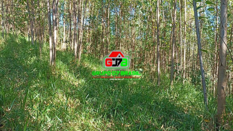 Imagem Chácara à Venda, 10 m² em Zona Rural De Paraibuna - Paraibuna
