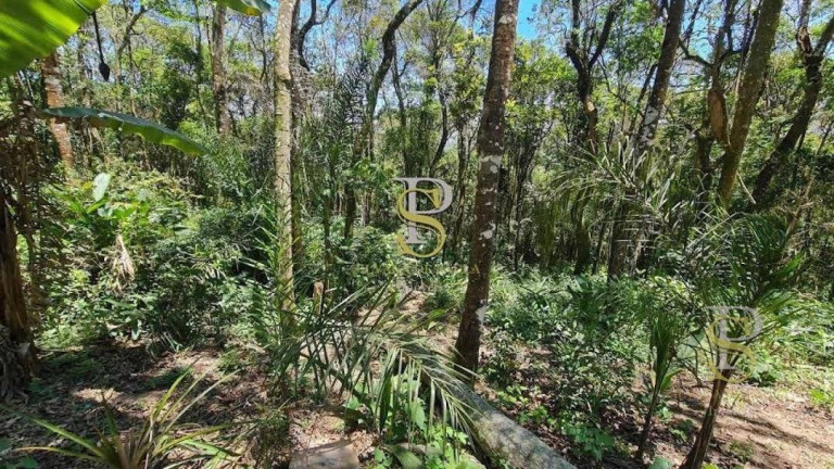 Imagem Terreno à Venda, 1.000 m² em Mato Dentro - Mairiporã Imagem Terreno à Venda, 1.000 m² em Mato Dentro - Mairiporã