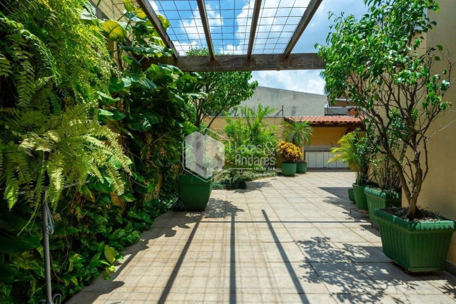 Imagem Casa com 4 Quartos à Venda, 375 m² em Moema - São Paulo Imagem Casa com 4 Quartos à Venda, 375 m² em Moema - São Paulo