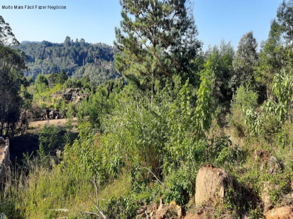 Imagem Terreno à Venda, 409 m² em Bavaria - Nova Petrópolis Imagem Terreno à Venda, 409 m² em Bavaria - Nova Petrópolis