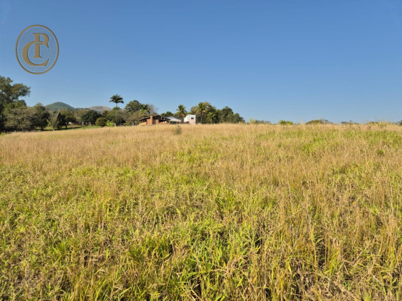 Imagem Chácara com 4 Quartos à Venda, 500 m² em Centro - Caçapava Imagem Chácara com 4 Quartos à Venda, 500 m² em Centro - Caçapava